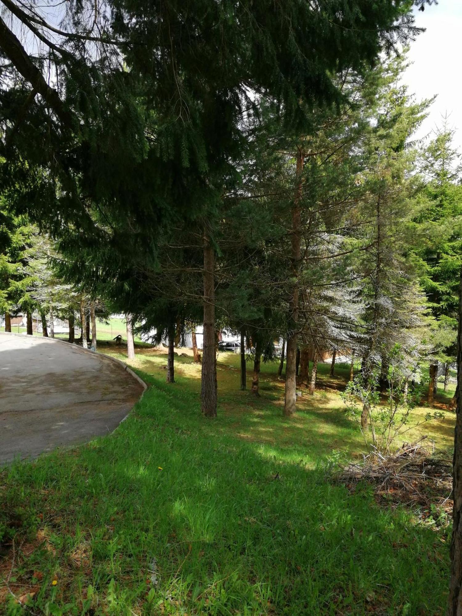 Waldhaus, Ski- und Wanderhütte Breitenbrunn  Exterior foto